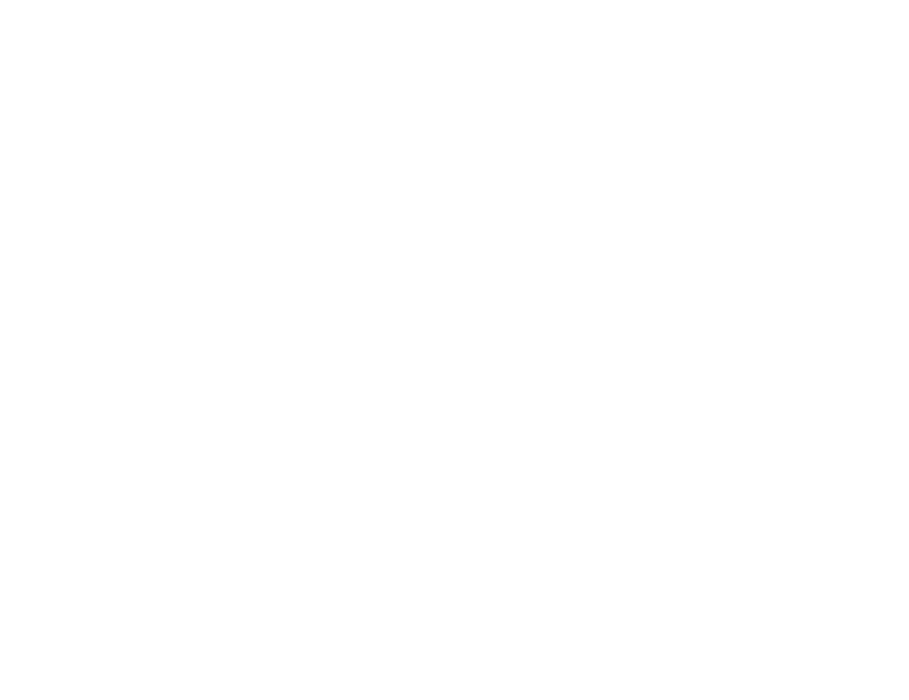 Logo The Wonderspace