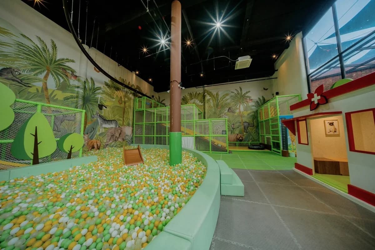 A colorful indoor playground features a large ball pit, climbing areas, slides, and jungle-themed walls for children.